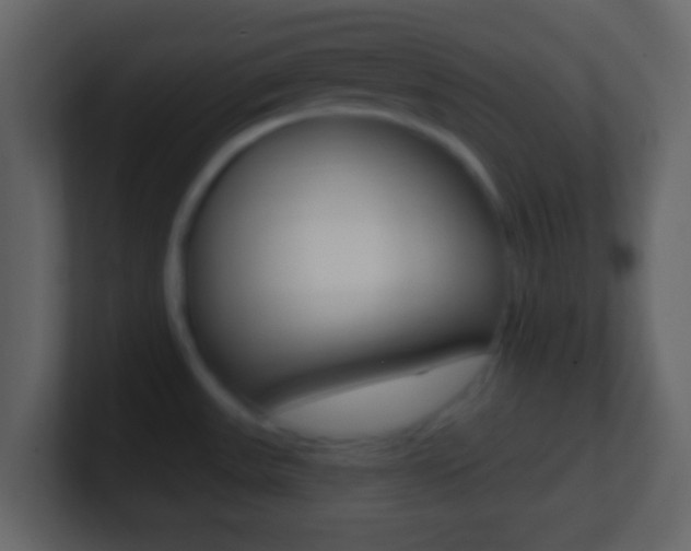 X0000101451531200807071100