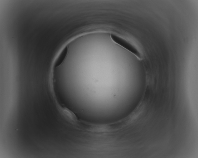X0000101451532200807071100