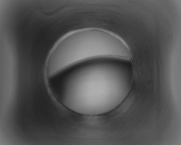 X0000101451534200807071100