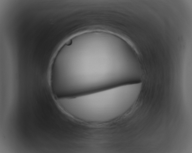 X0000101451535200807071100