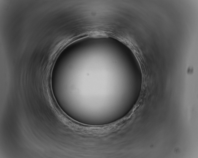 X0000101450001200807071416