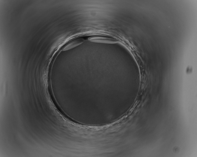 X0000101450002200807071416