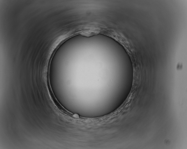 X0000101450003200807071416