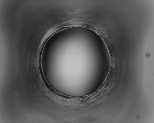 X0000101450004200807071416