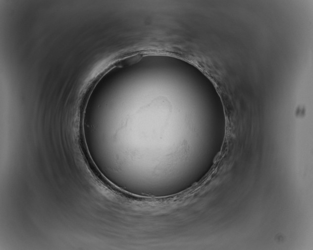 X0000101450005200807071416