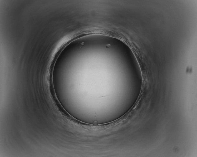 X0000101450006200807071416