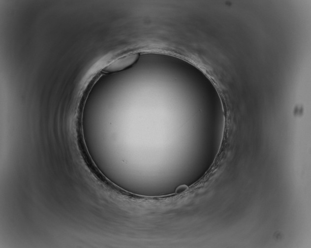 X0000101450007200807071416