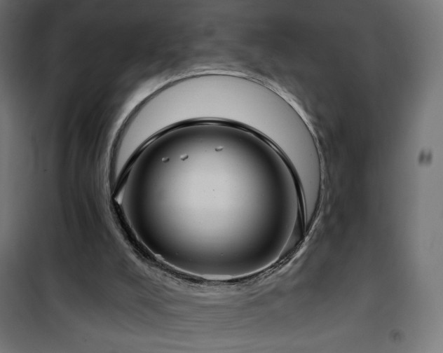 X0000101450008200807071416