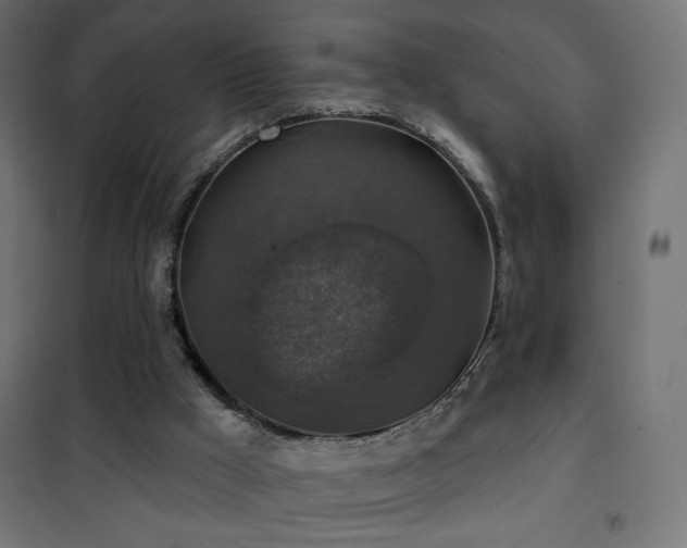 X0000101450009200807071416