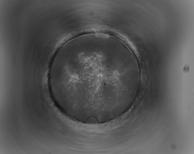 X0000101450010200807071416