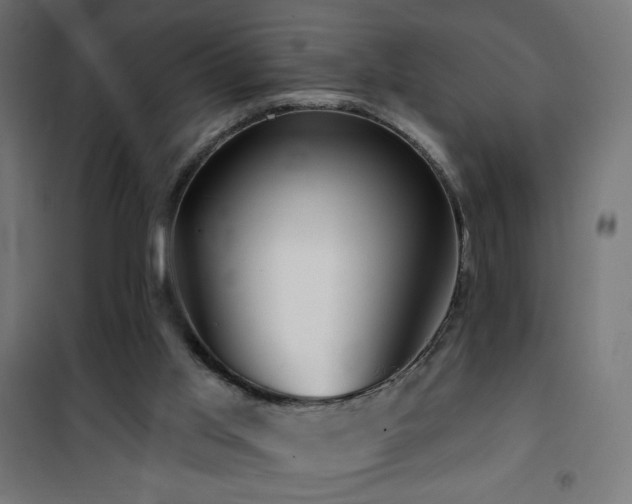 X0000101450013200807071416