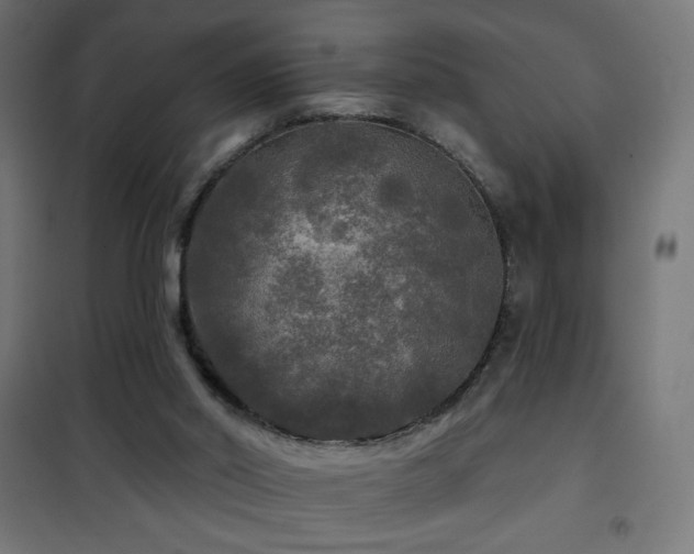 X0000101450014200807071416