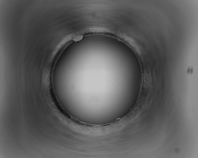 X0000101450015200807071416