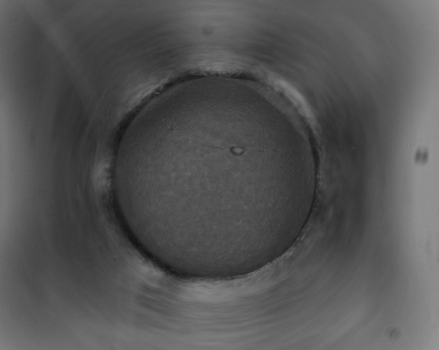 X0000101450017200807071416