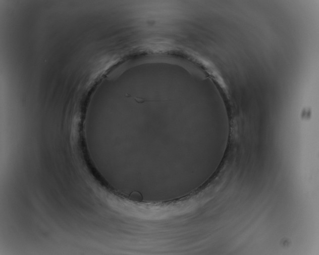 X0000101450018200807071416