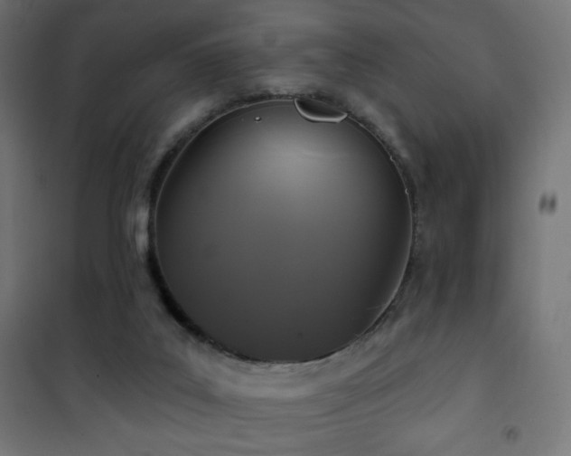 X0000101450019200807071416