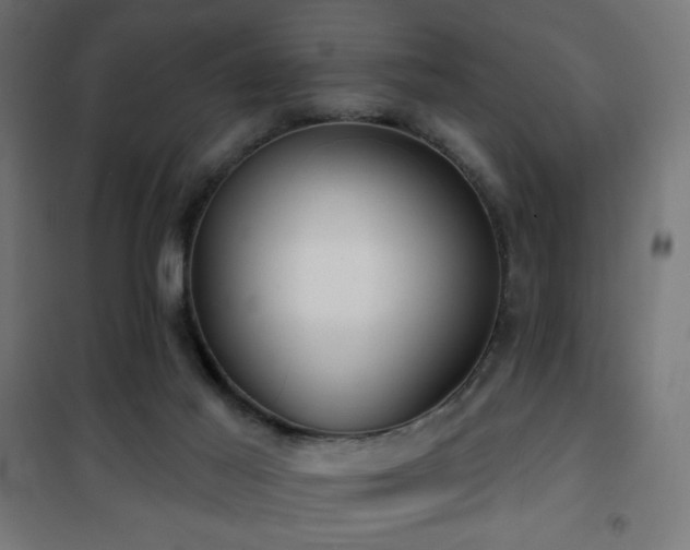 X0000101450021200807071416