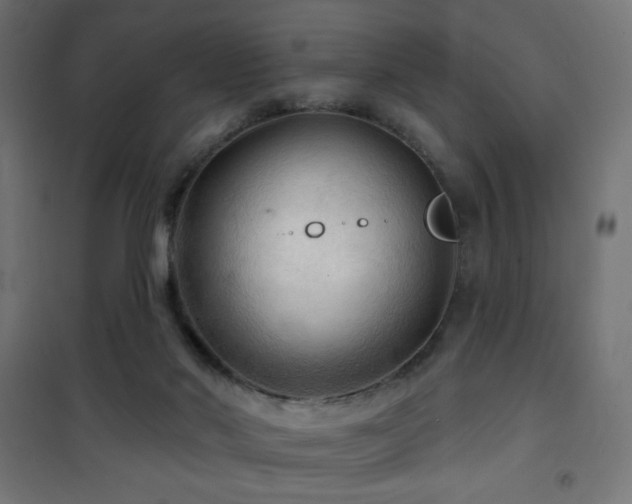 X0000101450022200807071416