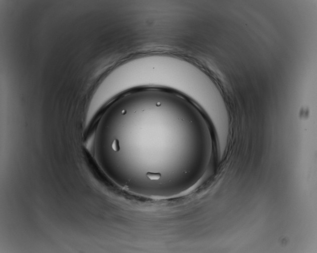 X0000101450024200807071416