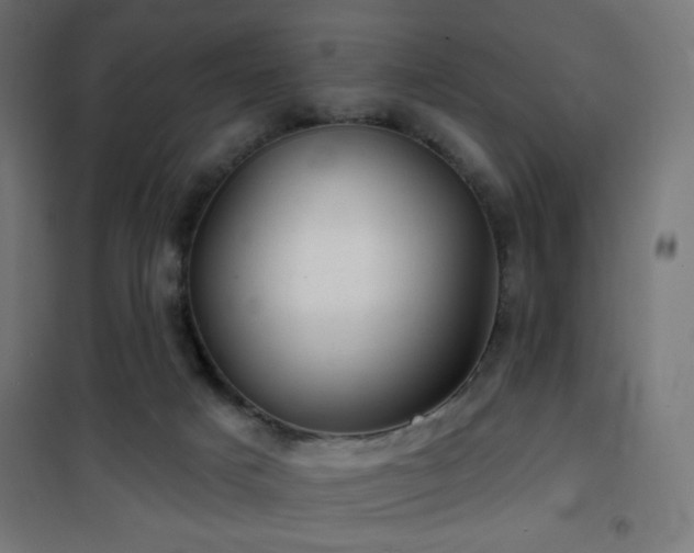 X0000101450025200807071416