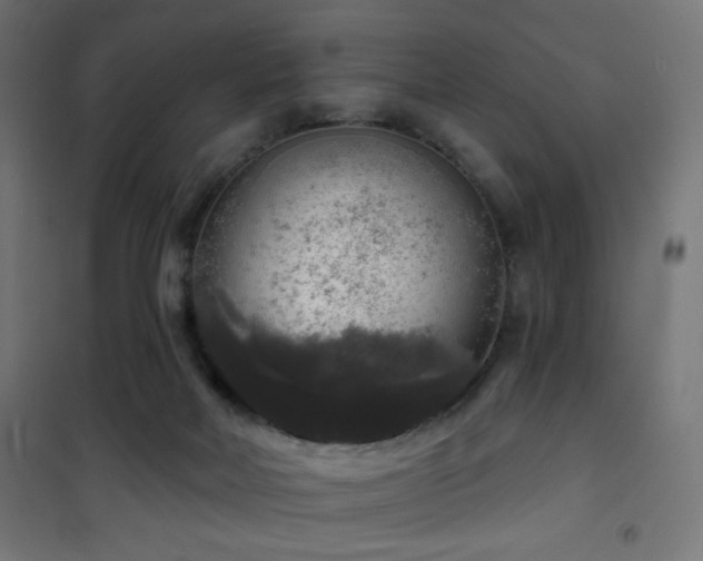 X0000101450026200807071416