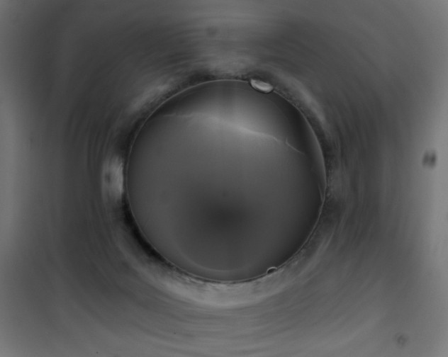 X0000101450027200807071416