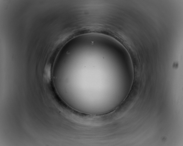 X0000101450028200807071416