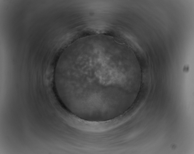 X0000101450030200807071416