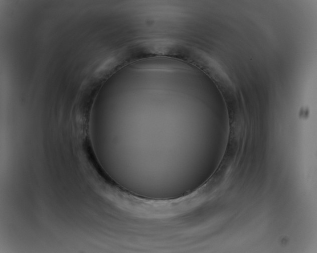 X0000101450031200807071416