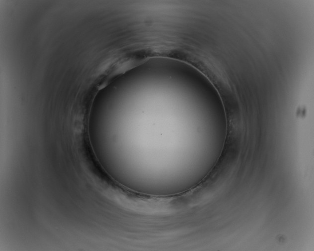 X0000101450032200807071416