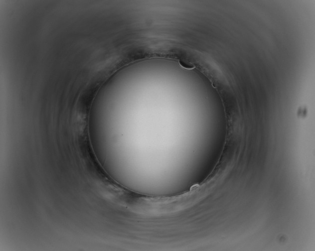 X0000101450033200807071416