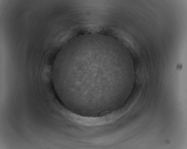 X0000101450034200807071416