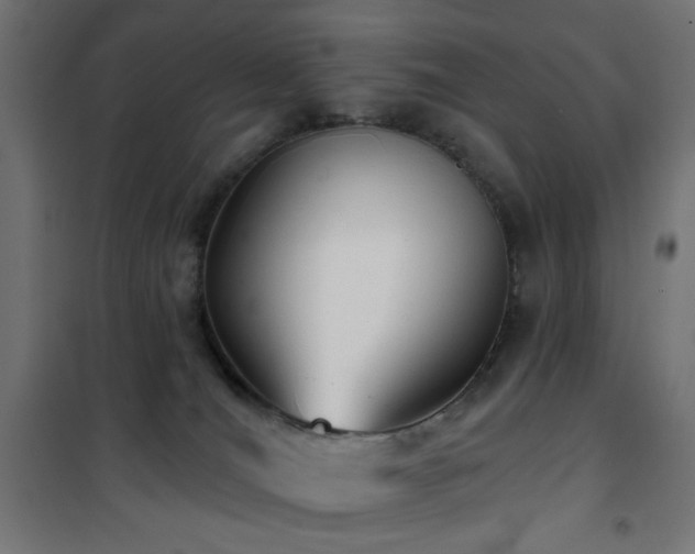 X0000101450036200807071416