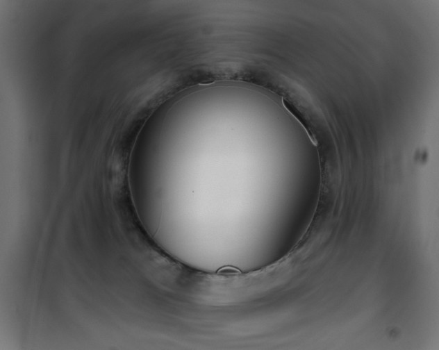 X0000101450037200807071416