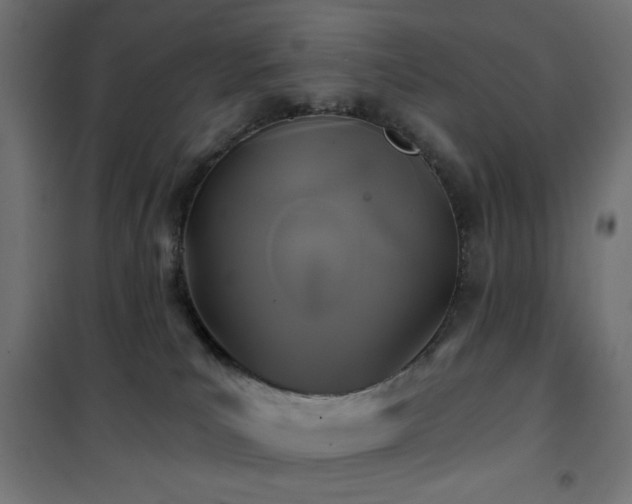 X0000101450039200807071416