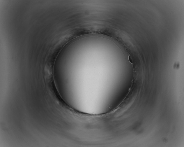 X0000101450040200807071416