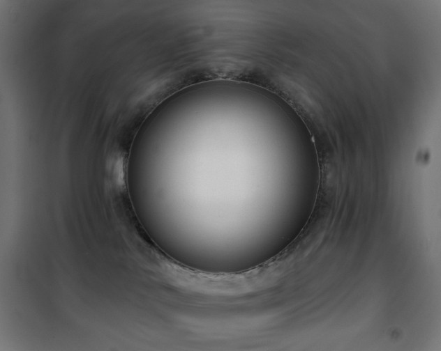 X0000101450042200807071416