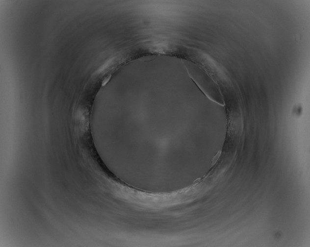 X0000101450043200807071416