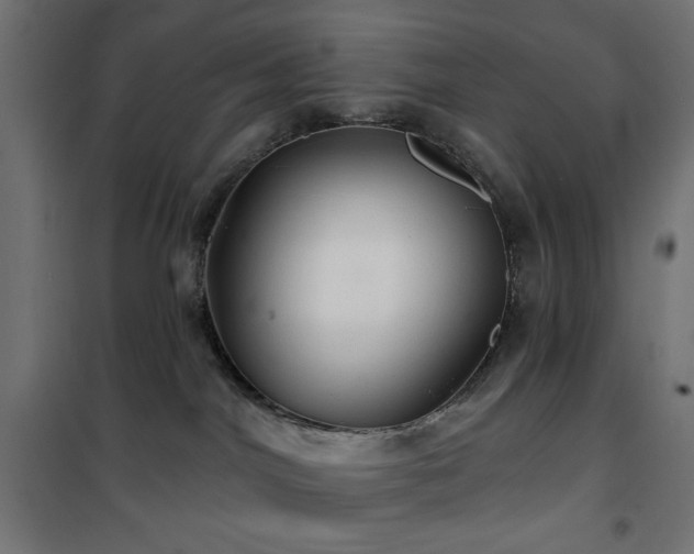 X0000101450044200807071416