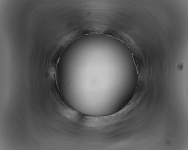 X0000101450045200807071416