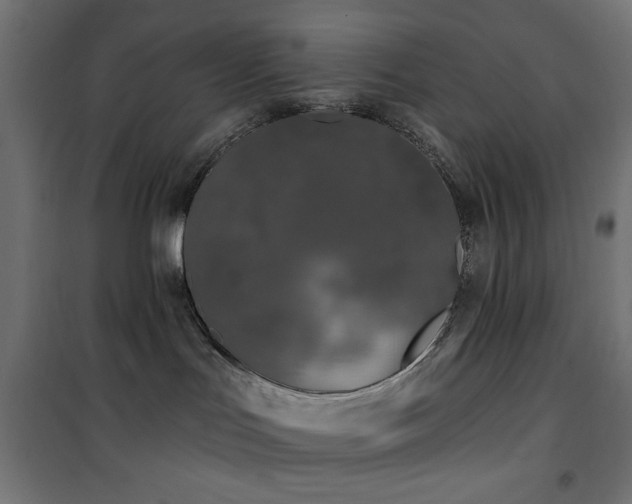 X0000101450047200807071416