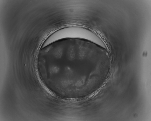 X0000101450049200807071415