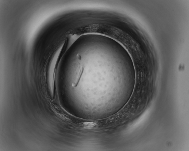 X0000101450050200807071415