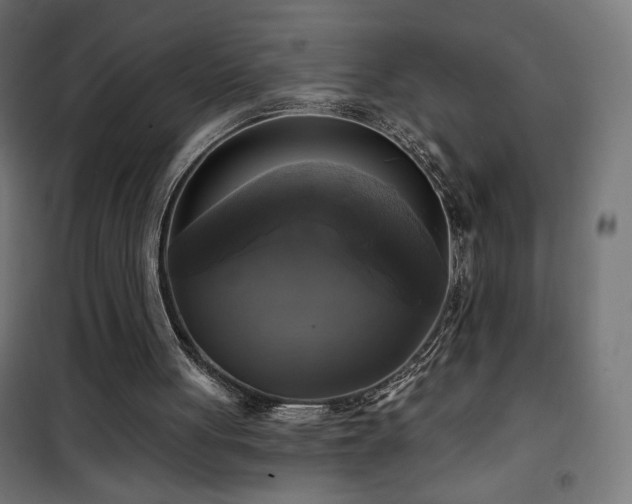 X0000101450051200807071415