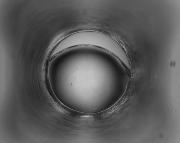 X0000101450053200807071415