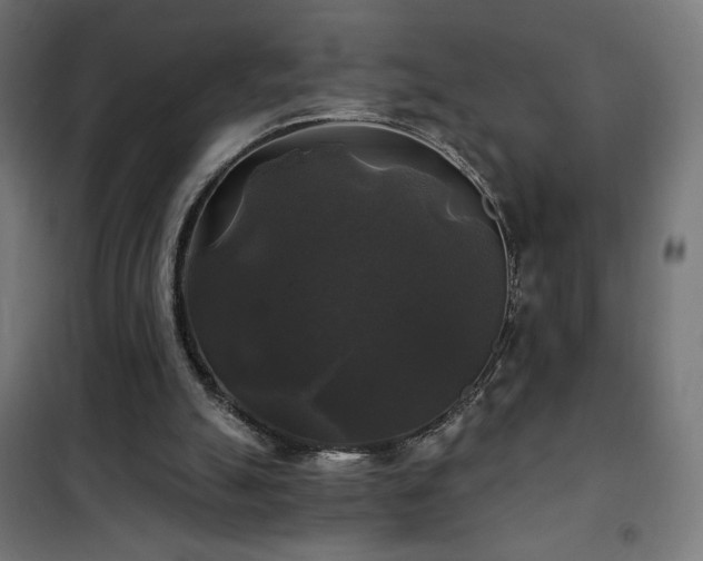 X0000101450055200807071415