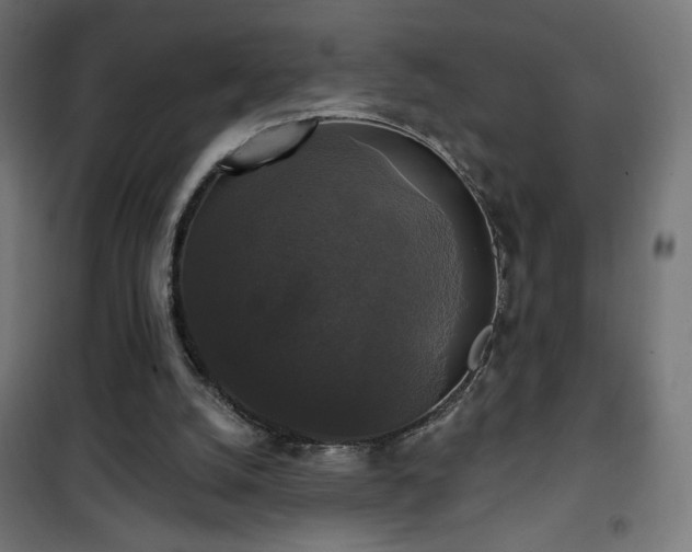 X0000101450056200807071415