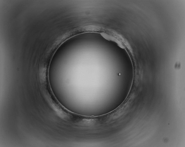 X0000101450057200807071415