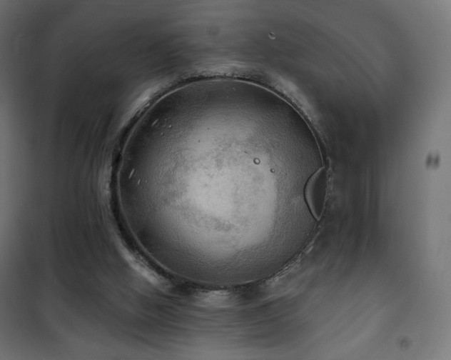 X0000101450058200807071415