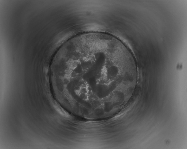 X0000101450061200807071415